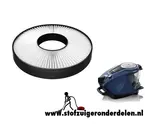 Bosch Relaxx'x Ultimate filter 12017968