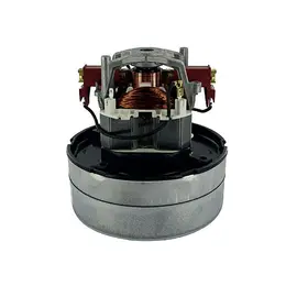 Numatic motor