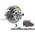 Dyson DC20 motor